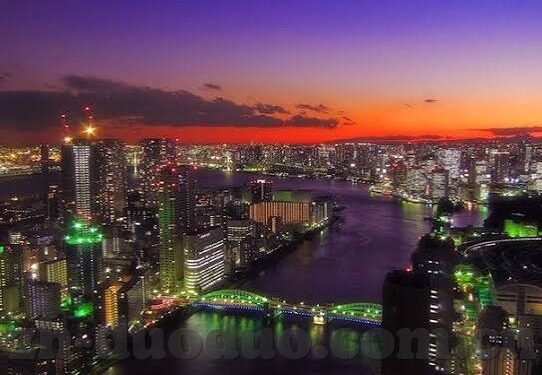 九游app 购买代金卷-令人惊喜的九游APP代金券购体验与文化解读